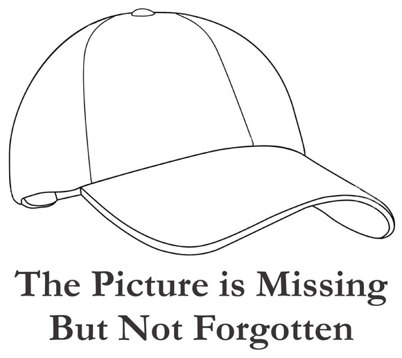 Beech Staggerwing on a Putty Cap